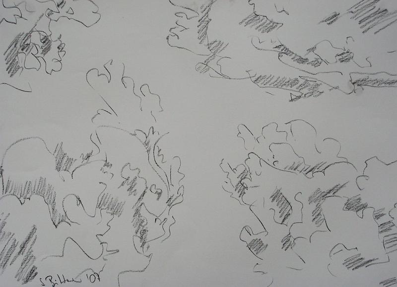 Wolken, 2007, Kohle-Papier, 60x42.jpg